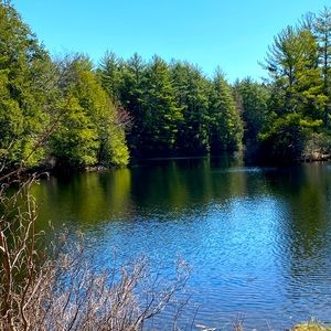 Meet your Posher, AJ